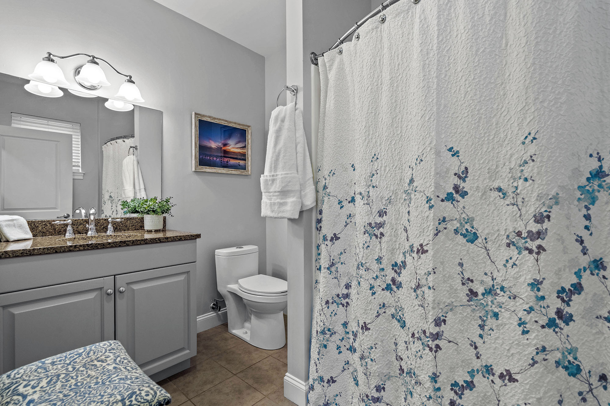 Renovation - Full Bath